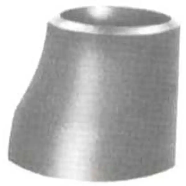 12 inch x 10 inch Giảm lệch tâm, XS