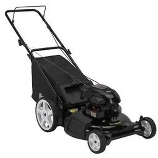 22 inch Máy cắt cỏ đẩy Poulan 5.5HP PO550N21RH3