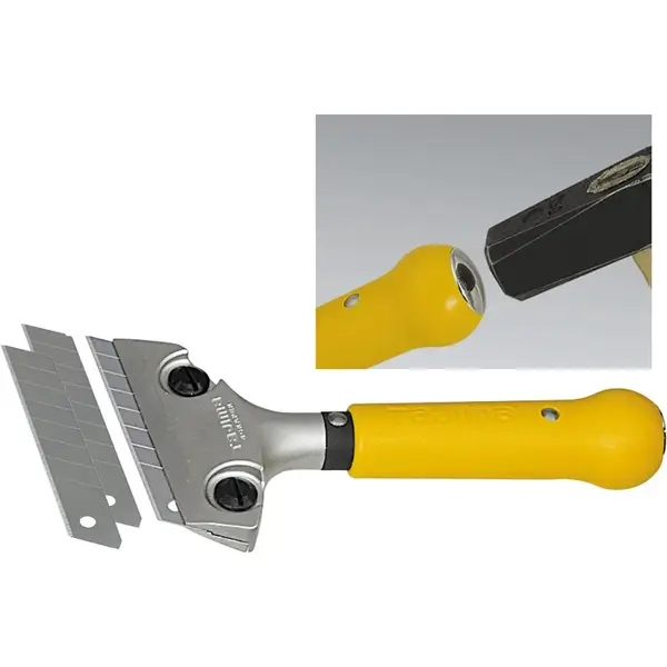 CÂY SỦI KEO, RON, BAVIA CÓ THỂ ĐỤC TAJIMA 837750