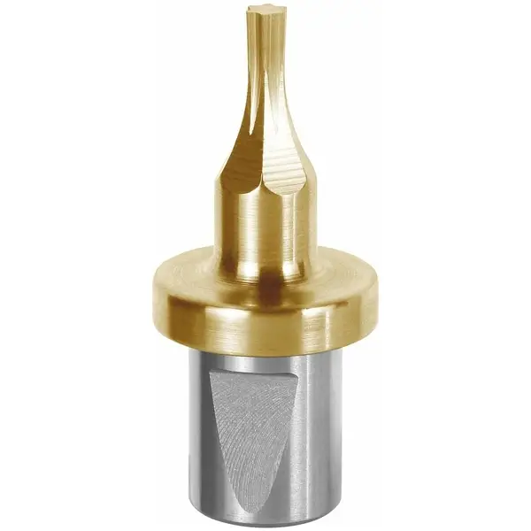 ĐẦU DAO TẠO LỖ TORX TX40 D=16MM GARANT 293066 TX40