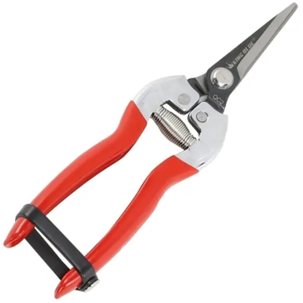 Kéo cắt trái cây KingBlue QC2