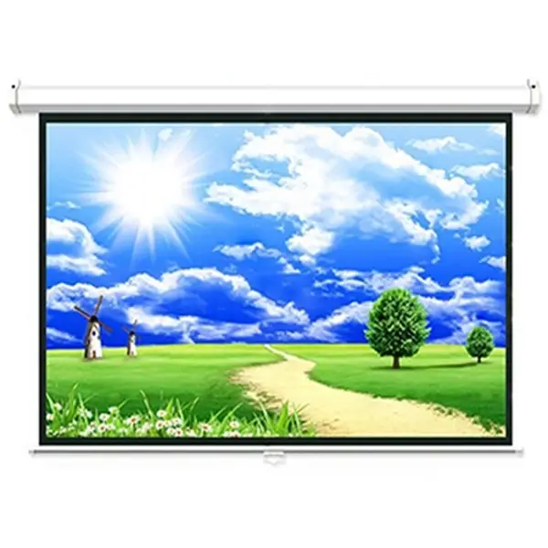 Màn chiếu treo tường 150 inchs Dalite 3mx2m25 (GIÁ THANH LÝ TẠI HN)