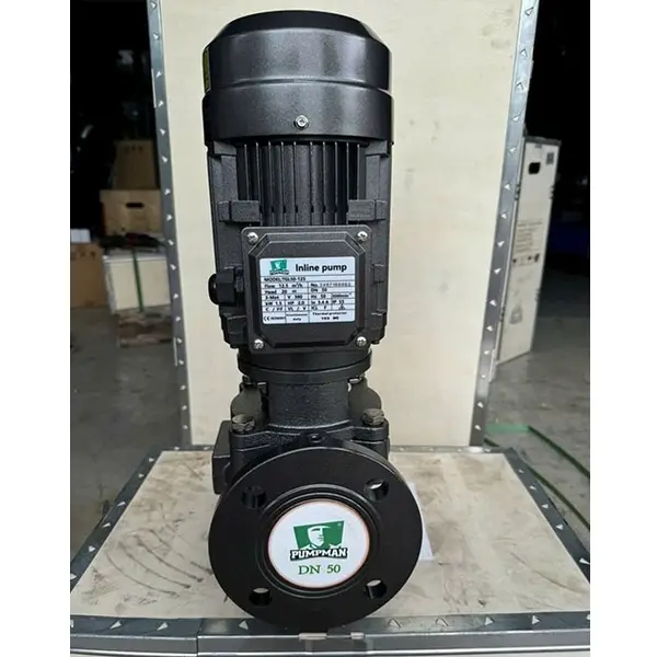 Máy bơm nước Pumpman 80-160A