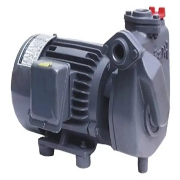 Máy bơm trục ngang AP P HC 20 (1. 5KW)
