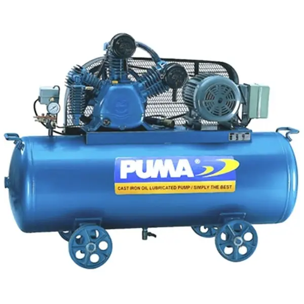 Máy nén khí Puma - Trung Quốc PX3120