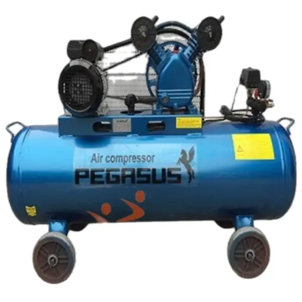 Máy nén khí trục vít Pegasus TMTV-10A