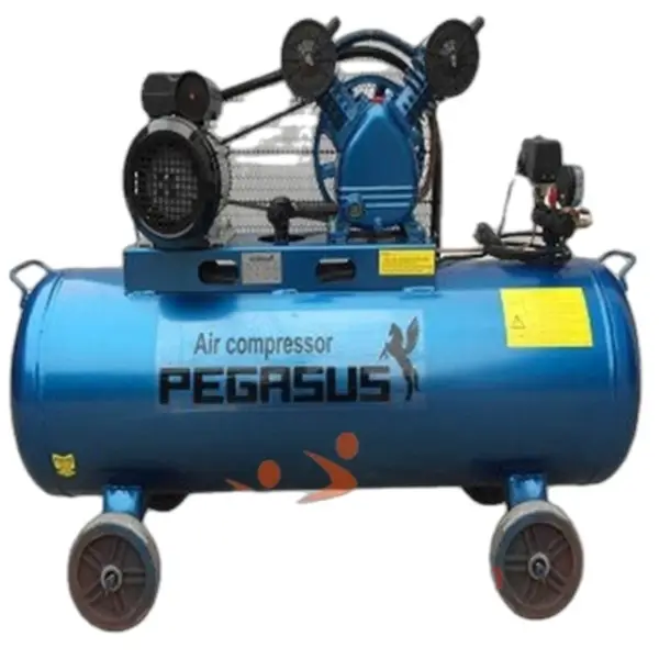 Máy nén khí trục vít Pegasus TMTV-15A