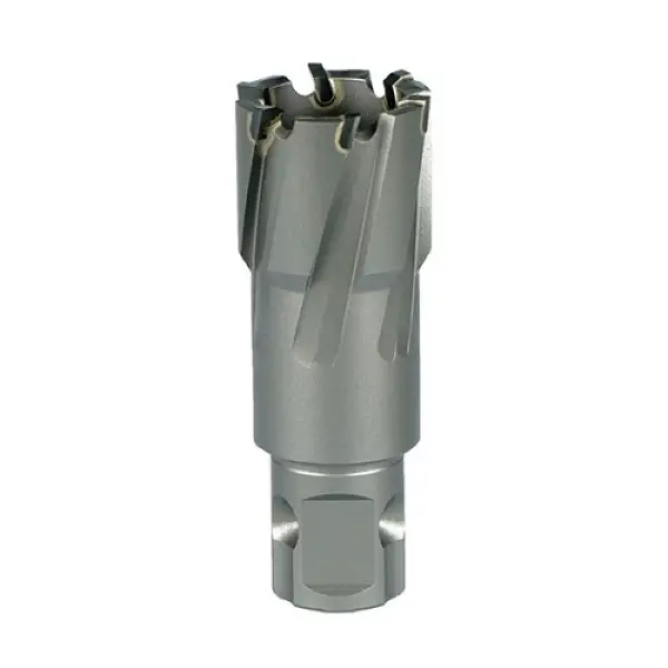 Mũi khoan từ carbide, 32x50mm (dùng PL8050) Bosch 2608577504
