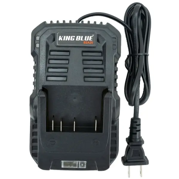 Sạc Pin B2A20